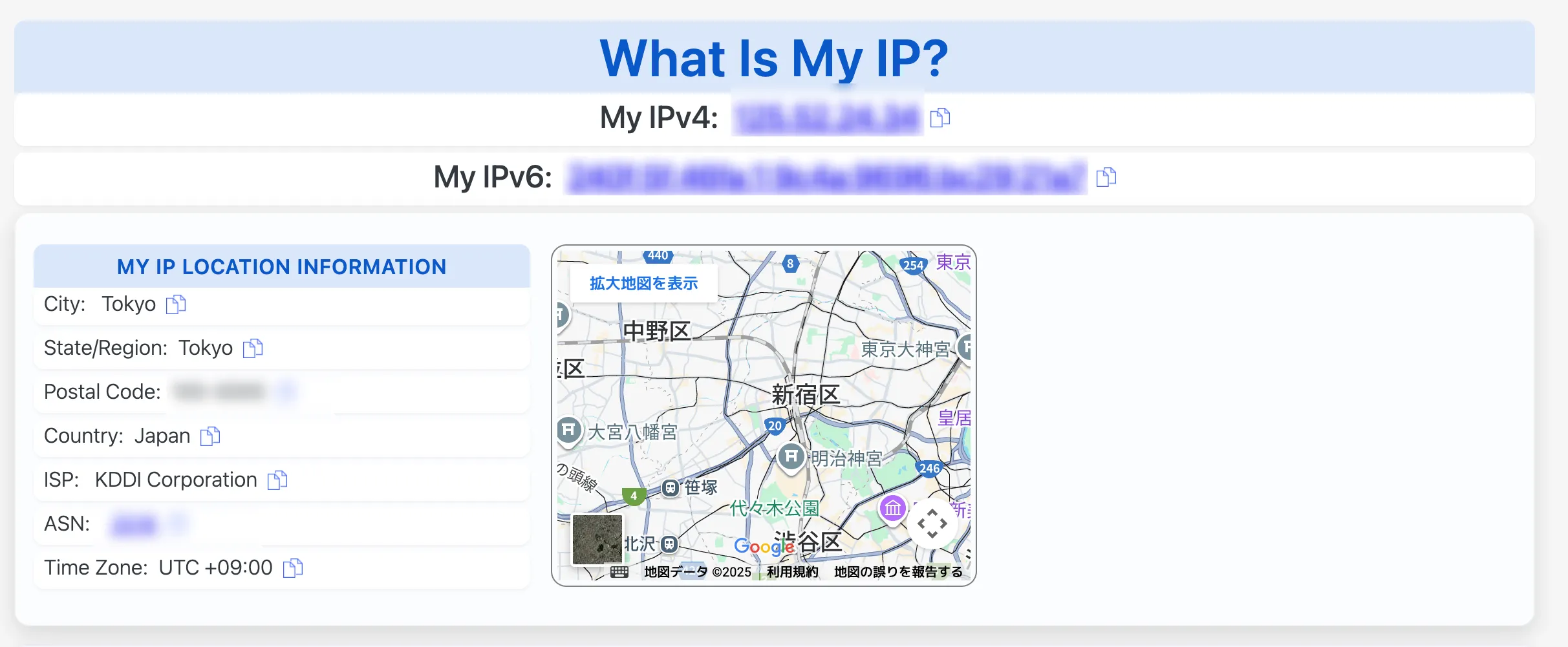 IPアドレス漏洩チェック