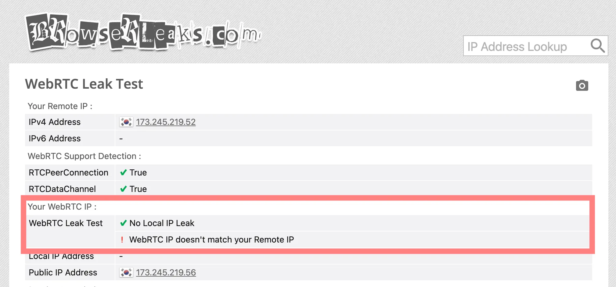 WebRTC漏洩テスト